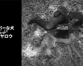 奥莉佛是狗天哪这家伙续篇