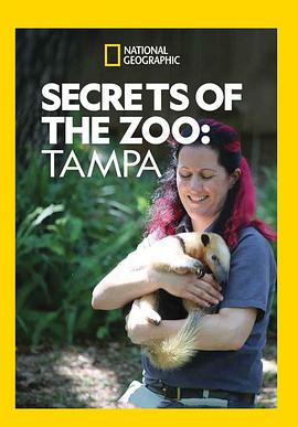 动物园秘辛坦帕湾