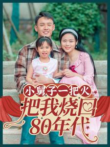 小舅子一把火把我烧回第八集0年代