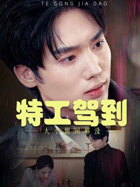 特工驾到大小姐闹够没