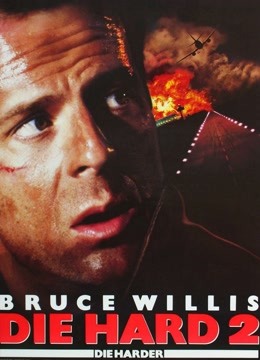 虎胆龙威第二季