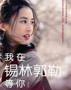 我在锡林郭勒等你