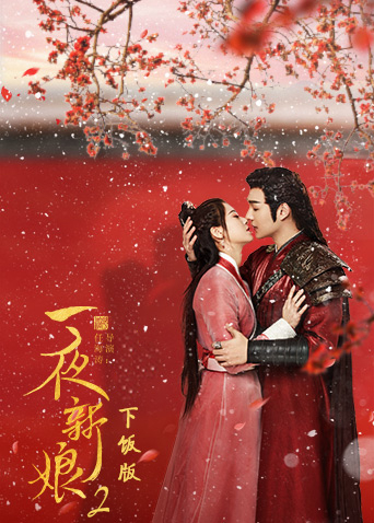 一夜新娘第二季下饭
