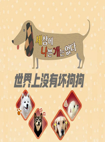 世界上没有坏狗狗