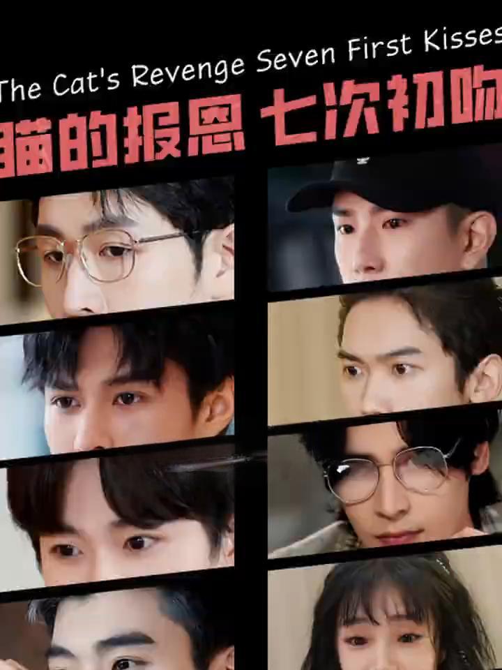 猫的报恩七次初吻