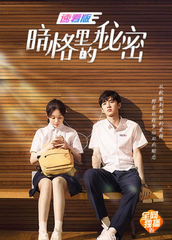 暗格里的秘密速看