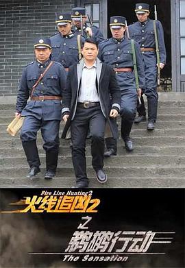火线追凶第二季之鹈鹕行动