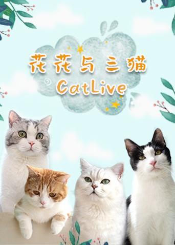 花花与三猫catlive第二季0第二季0