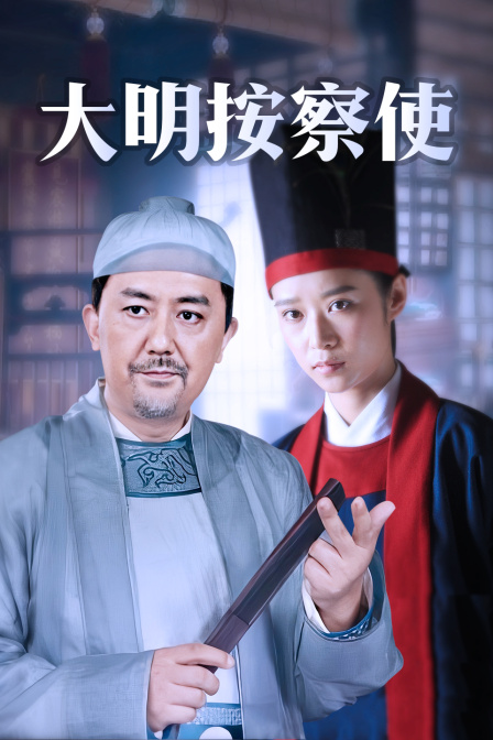 大明按察使dvd