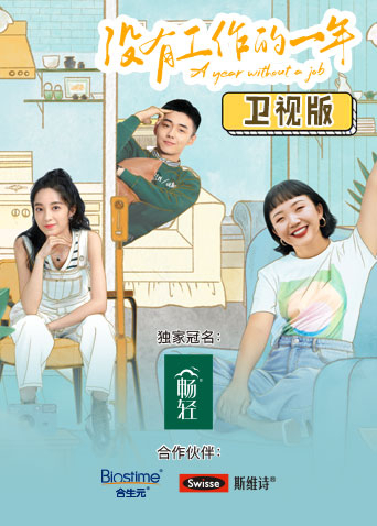 没有工作的一年卫视