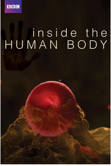 人体奥秘insidethehumanbody