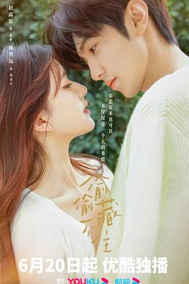 偷偷藏不住解说