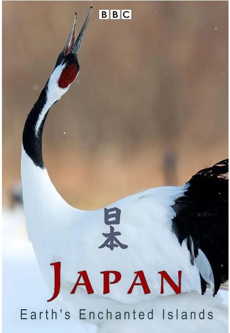 狂野日本wildjapan