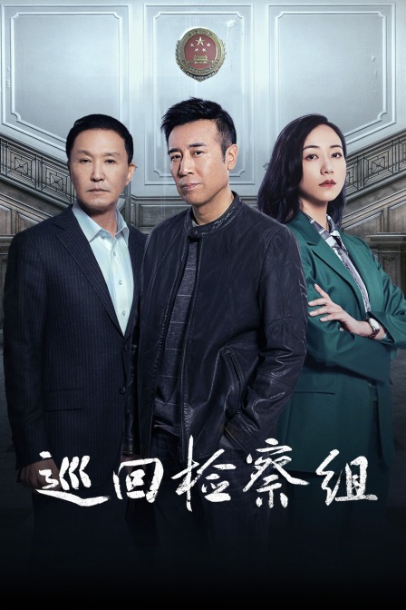 巡回检察组tv