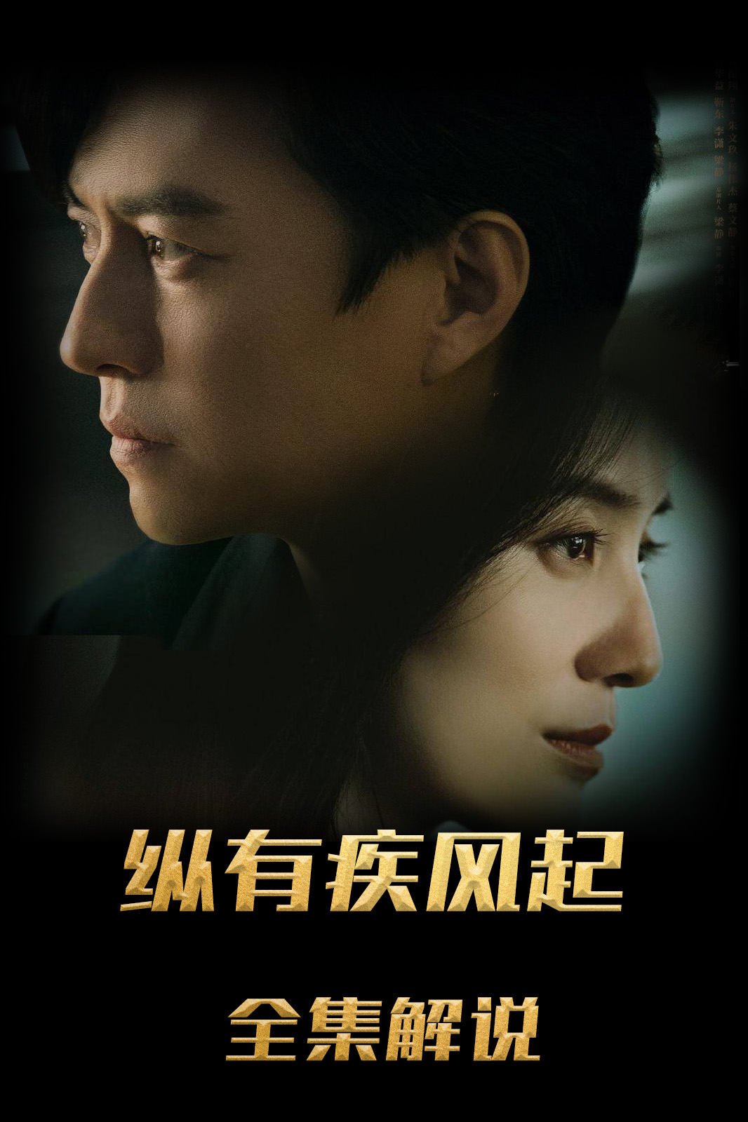 纵有疾风起解说