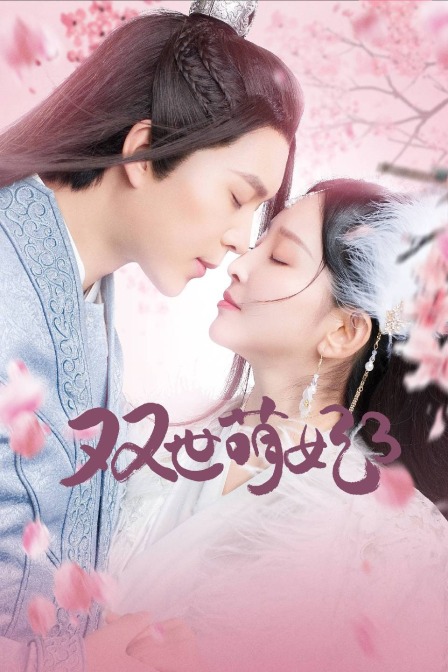 双世萌妃第三季