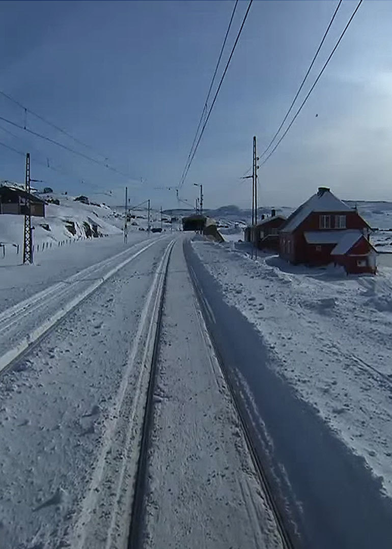 流行慢tv你喜欢哪一种