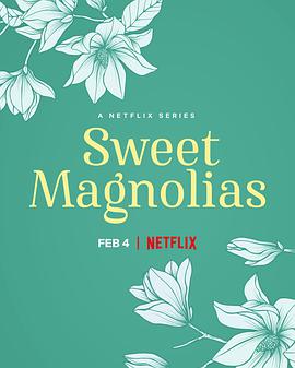 甜木兰第二季sweetmagnoliasseason第二季