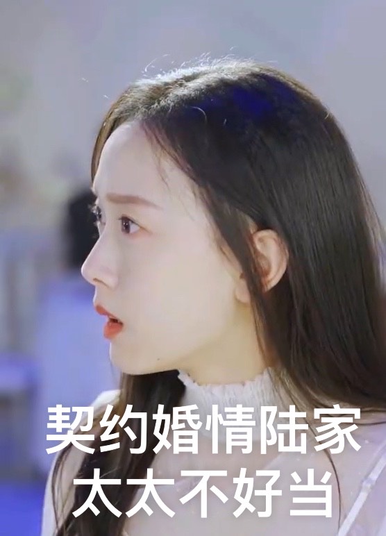 契约婚情陆家太太不好当