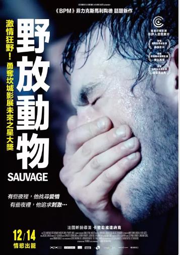 野性野放动物