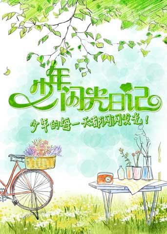 少年闪光日记第二季0第八集