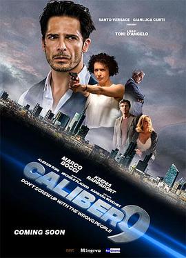 一枪币命caliber第九季