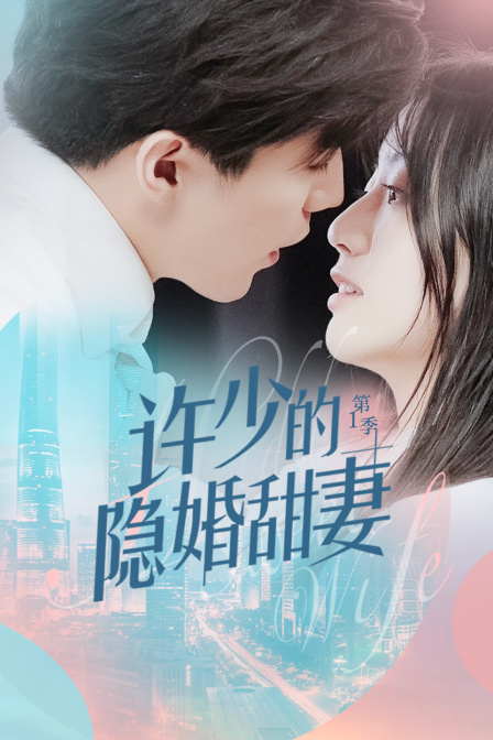 许少的隐婚甜妻