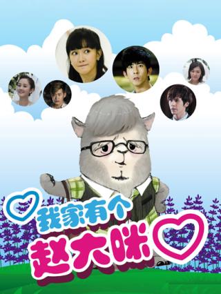 我家有个赵大咪