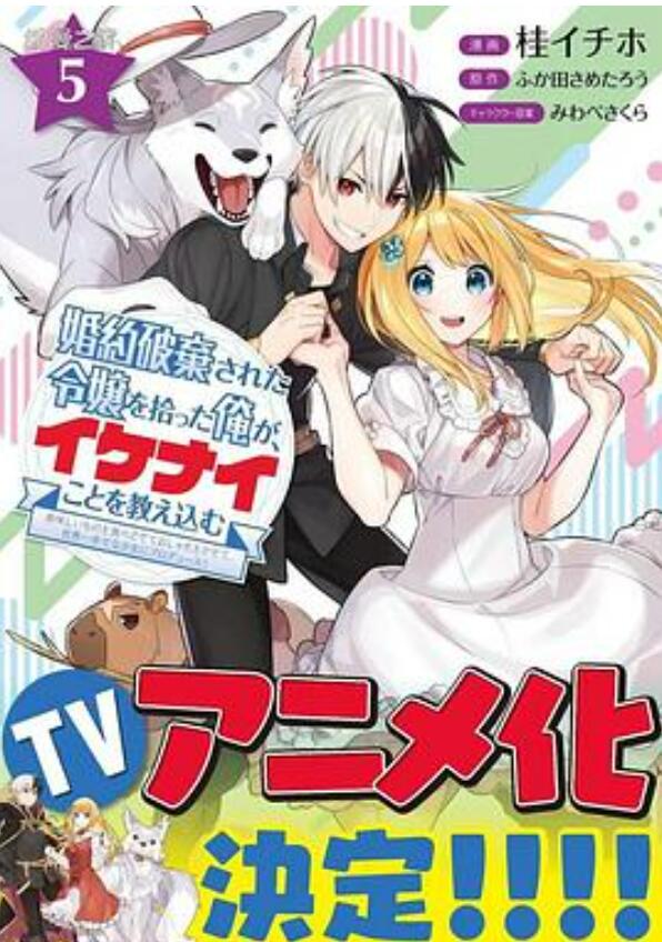 捡走被人悔婚的千金教会她坏坏的幸福生活