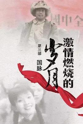 激情燃烧的岁月第三季