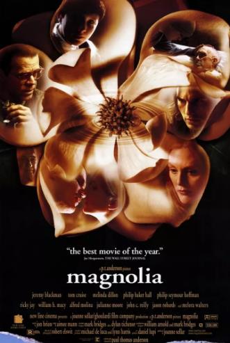 木兰花magnolia
