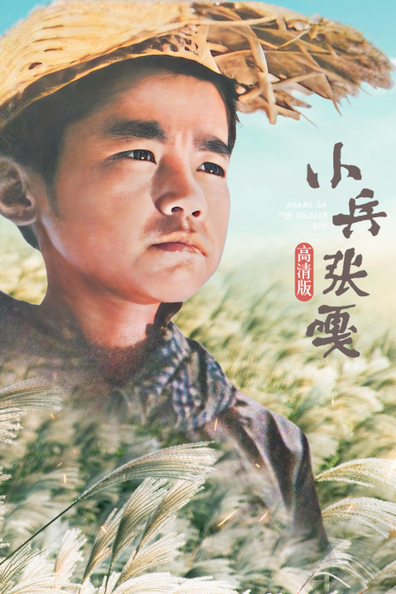 小兵张嘎高清