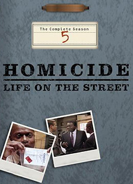 情理法的春天第五季