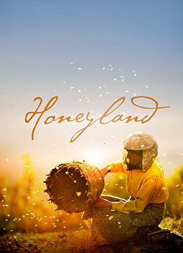 蜂蜜之地