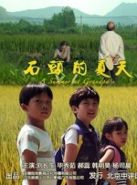 石头的夏天