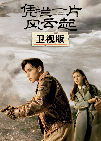 凭栏一片风云起卫视