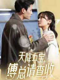 天降五宝傅总请查收