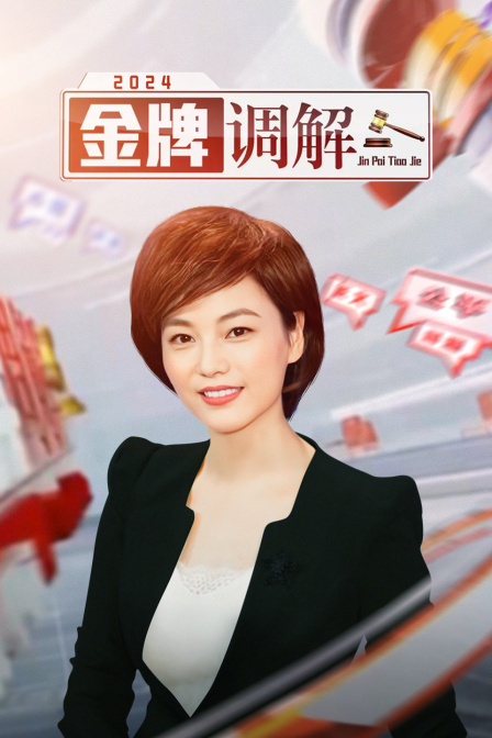 金牌调解第二季0第二季第四季