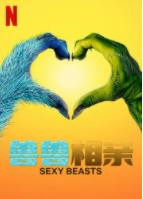 兽兽相亲性感野兽第二季