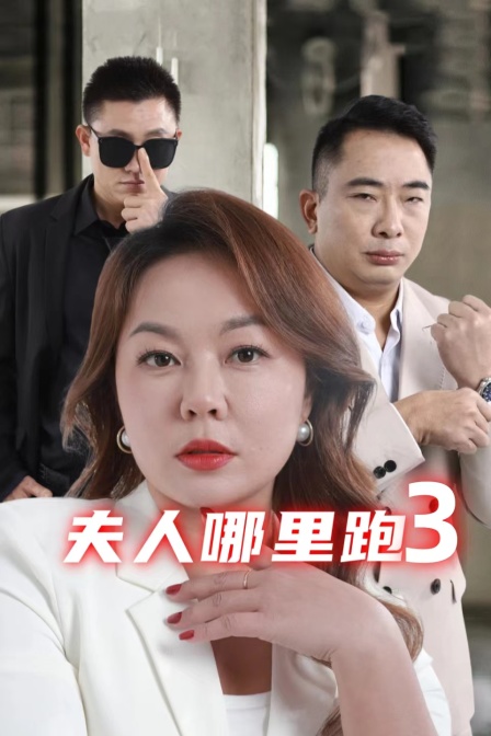 夫人哪里跑第三季