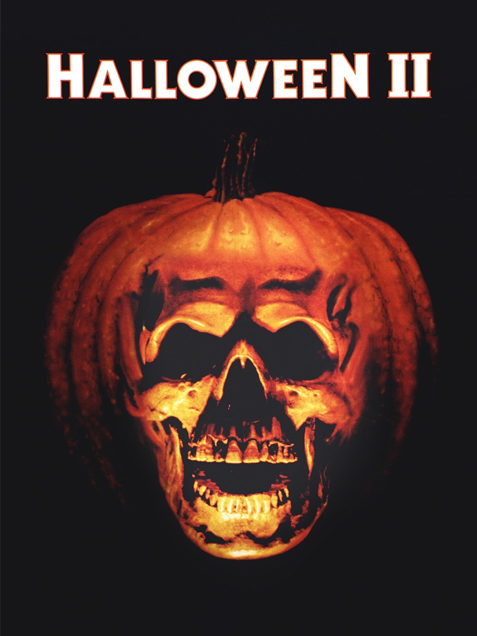 月光光心慌慌第二季