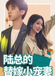 陆总的替嫁小娇妻