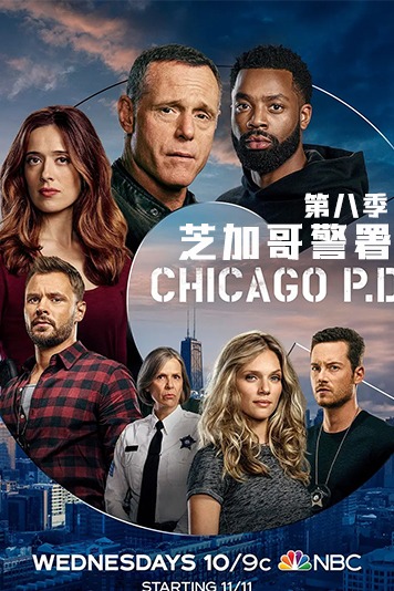 芝加哥警署第八集
