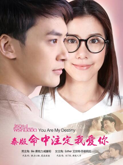 命中注定我爱你
