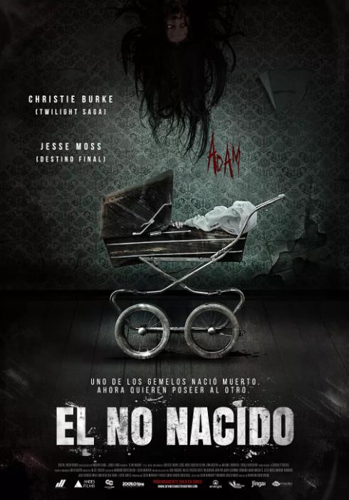 死产儿夭折双胞胎