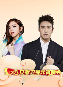 第二季0第八集安徽卫视元宵