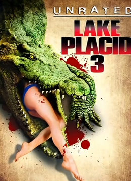 平静的湖第三季