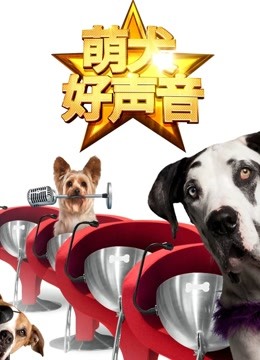 萌犬好声音英
