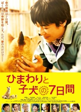 向日葵与幼犬的第七季天