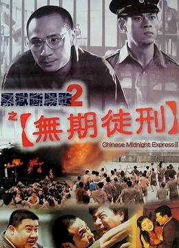 黑狱断肠歌第二季之无期徒刑粤配